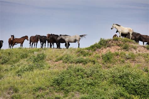 The Jamestown Sun | Jamestown, North Dakota