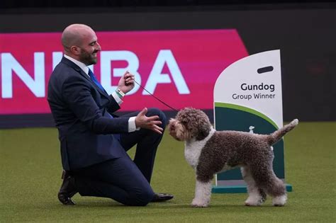 Crufts 2024 Results - Kerry Jerrie