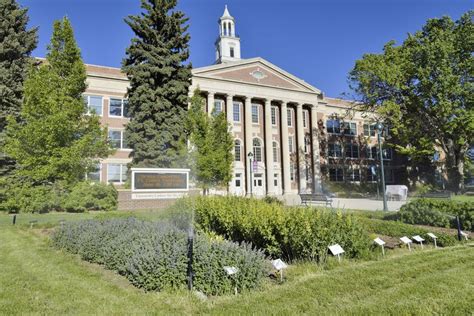 Colorado State University: Acceptance Rate, SAT/ACT Scores, GPA