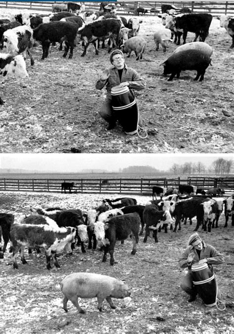 James Dean on his uncle's farm in Indiana, 1955 | James dean, James dean photos, Dean