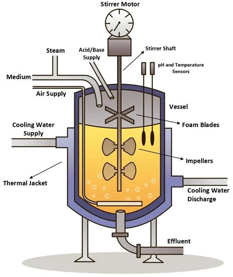 Bioreactor: Parameter, Parts, Types, and Application • Microbe Online