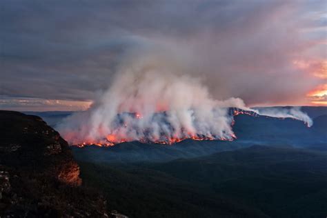 Australia's Bushfires: Ecological and Human Health Impact | The Daily Checkup