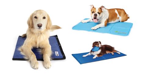 The Best Dog Cooling Mat to Keep Your Pooch from Overheating