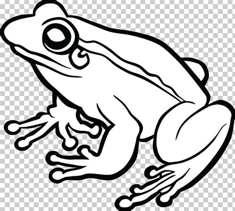 Frog Line Art Drawing PNG, Clipart, Amphibian, Animals, Art, Artwork, Black And White Free PNG ...