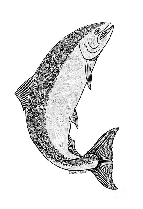 Salmon II Drawing by Carol Lynne