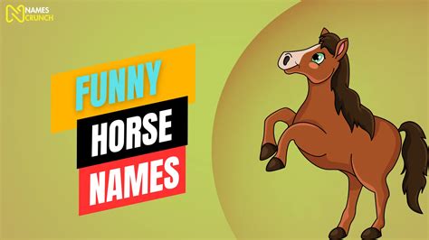 250+ Funny Horse Names (Unique Ideas) - Names Crunch