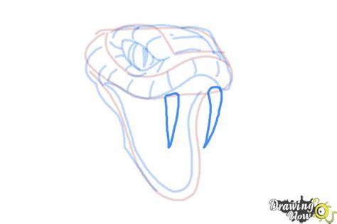 How To Draw Snake Head - Temporaryatmosphere32