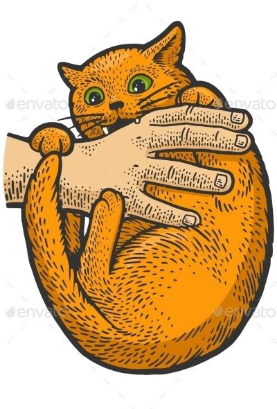 Cat Bites Hand Sketch Vector Illustration by AlexanderPokusay ...