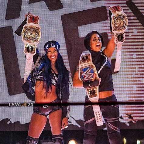 5 reasons why the WWE Women's Tag Team Titles should be defended in the Elimination Chamber