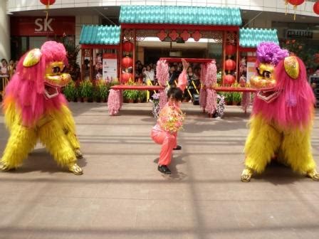 Northern Lion Dance « Wenyang Sports Association (Singapore) | Wen Yang Lion Dance Troupe