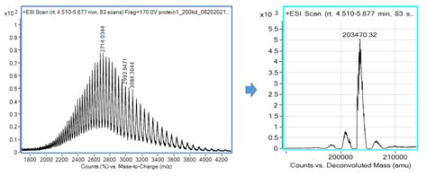 Intact Protein Analysis | AxisPharm