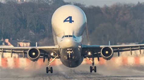 AIRBUS BELUGA LANDING - When an AIRBUS gets STUNG BY A BEE (4K) - YouTube