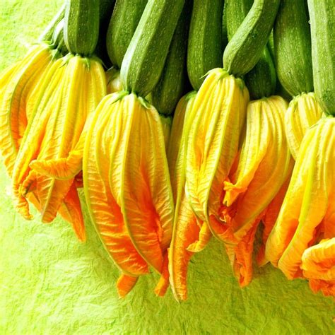 Zucchini Flower Recipes - MOON and spoon and yum