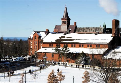 Cats in the snow: Burlington winter weather breaks records – The ...