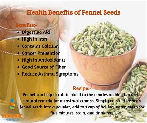 Health Benefits of Fennel Seeds | Benefits of fennel, Fennel seeds ...