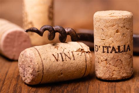 How To Open Wine Bottle Cork Broken - Best Pictures and Decription Forwardset.Com