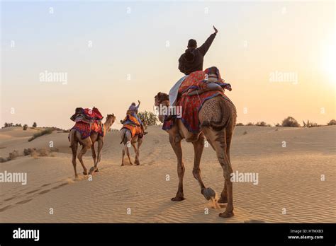 Camel safari, Thar Desert, Rajasthan, India Stock Photo - Alamy