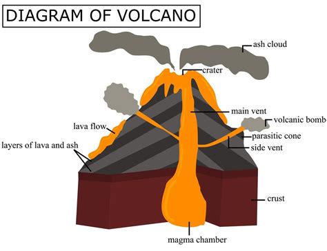 A diagram of a volcano.Cross section of a volcano.Illustration for studying earth and geology ...