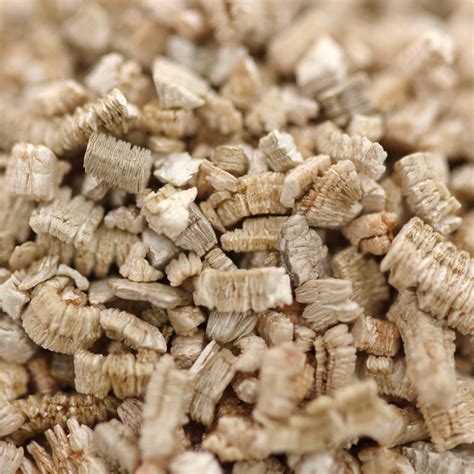 Vermiculite for Carnivorous Plant Soil Mixes | Curious Plant