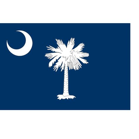 Vector flag of South Carolina | Free SVG