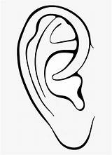 Ears Coloring Pictures sketch template