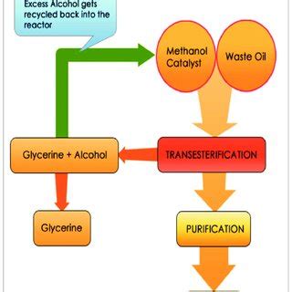 The process of biodiesel production. | Download Scientific Diagram