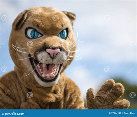 CALDWELL, IDAHO/USA - SEPTEMBER 27: the Caldwell High Mascot Waving at Caldwell Parade Editorial ...