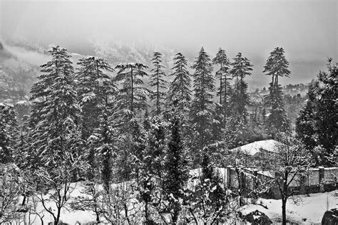 Snowfall flashed in Manali, Tourism, 2023 | What to do during Snowfall ...