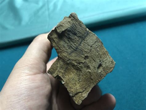 Is this petrified wood? : whatsthisrock