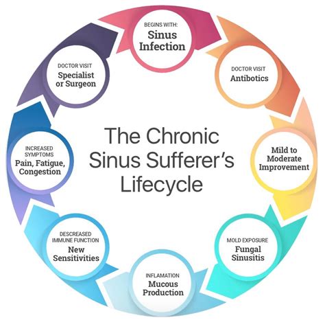 What Makes Chronic Sinusitis "Chronic" ? | Citrisafe