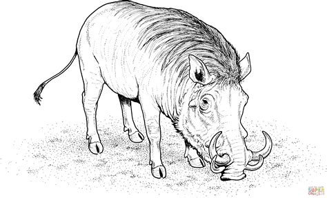 a drawing of a hippopotamus eating something off the ground