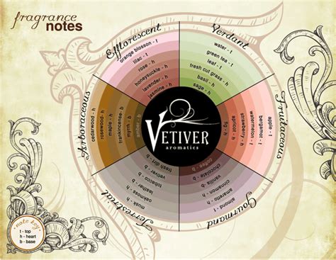 Fragrance Wheel - Vetiver Aromatics