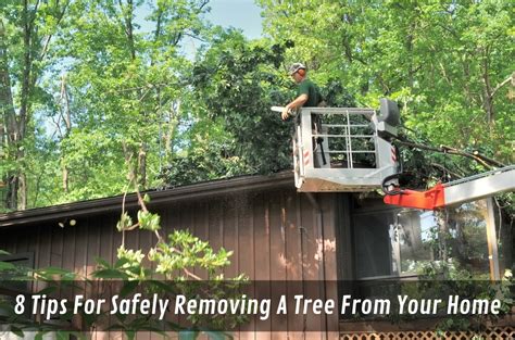 8 Tips For Safely Removing A Tree From Your Home | BUILD