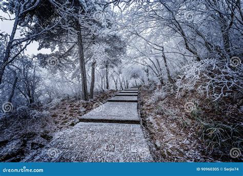 Winter Stairway View in Huangshan National Park. Stock Image - Image of frozen, environment ...