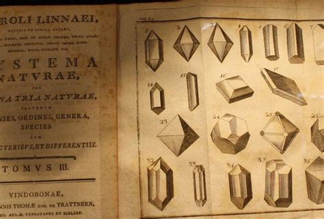 Systema Naturae - Google Search | Carl linnaeus, Linnaeus, Biology