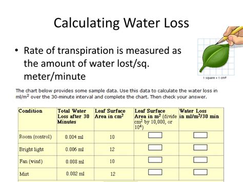 Transpiration Rate