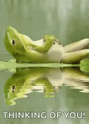 Frog Chill GIF - Frog Chill ThinkingOfYou - Discover & Share GIFs ...