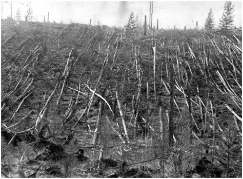 Mystery solved: meteorite caused Tunguska devastation