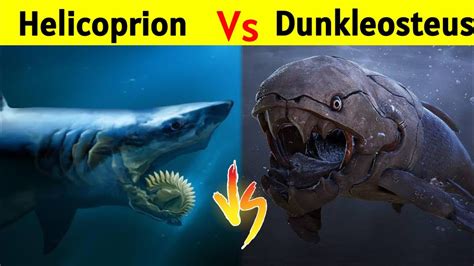 Helicoprion Vs Dunkleosteus | क्या होगा जब भिड़ेंगे Megalodon Shark से भी खतरनाक Monster - YouTube