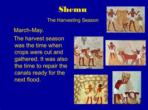 Farming and Seasons in Egypt