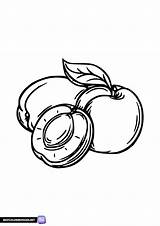 Peaches Coloring Page  Free Printable coloring Pages sketch template