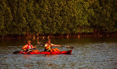 Mangrove Forest Kayaking in Pondicherry - Today’s offer Rs.850 ( 15 % off)