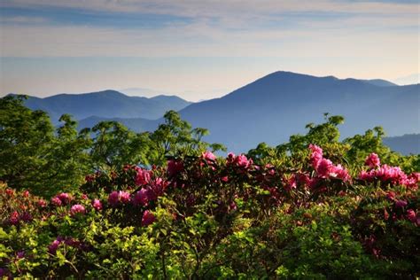 Craggy Gardens - Milepost 364 - Blue Ridge Parkway (U.S. National Park ...