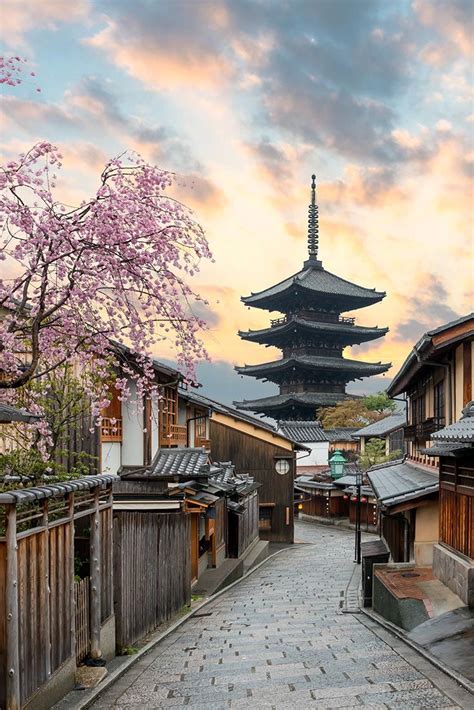 Kyoto cherry blossom travel guide – Artofit