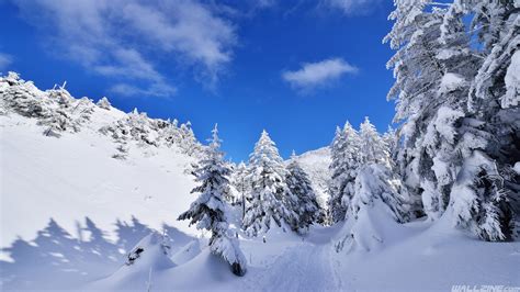 Snow Covered Landscape HD Desktop Wallpaper | Wallzine.com | Landscape wallpaper, Landscape ...