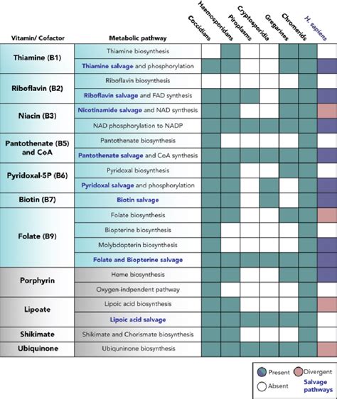 Conservation of vitamin and cofactor biosynthesis or scavenge pathways ...