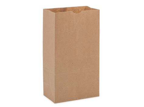 Brown Paper Bags - 6 lb. 100% Recycled Paper Sacks | Nashville Wraps