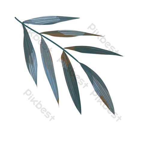 Drawing Of A Bamboo Leaf PNG Images | PSD Free Download - Pikbest