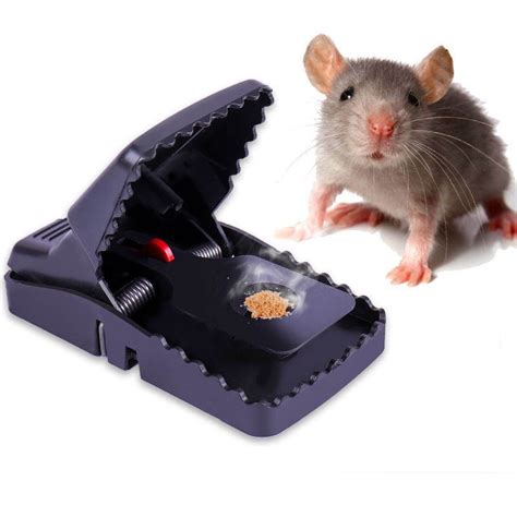 Mouse Rat Traps High Sensitive Snap Big Plastic Mouse Trap Rodent | Shopee Philippines