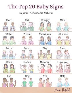 Basic Sign Language Chart